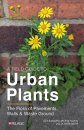 A Field Guide to Urban Plants
