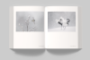Vincent Munier: The Monograph