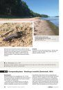 Suomen Petokärpäset Sukulaisineen: Opaskirja Lajien Määrittämiseen, Biologiaan ja Uhanalaisuuteen [Asiloidea of Finland: A Guide to Species Identification, Biology and Conservation Status]