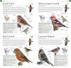 American Museum of Natural History: Pocket Birds of North America, Eastern Region