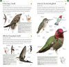 American Museum of Natural History: Pocket Birds of North America, Western Region