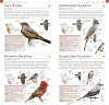 American Museum of Natural History: Pocket Birds of North America, Western Region