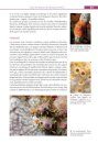 Guide des Tuniciers de l'Europe de l'Ouest: Atlantique & Méditerranée [Guide to Western European Tunicates: Atlantic and Mediterranean]