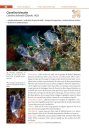 Guide des Tuniciers de l'Europe de l'Ouest: Atlantique & Méditerranée [Guide to Western European Tunicates: Atlantic and Mediterranean]