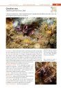 Guide des Tuniciers de l'Europe de l'Ouest: Atlantique & Méditerranée [Guide to Western European Tunicates: Atlantic and Mediterranean]