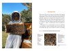 Honey Bee Pests and Diseases