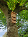 NHBS Kent Bat Box