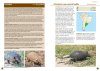 A Field Guide to the Larger Mammals of South America