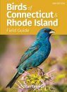 Birds of Connecticut
