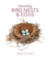 Interesting Bird Nests & Eggs