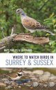 Where to Watch Birds in Surrey & Sussex