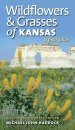 Wildflowers & Grasses of Kansas