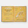 Book of Dinosaurs