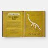 Book of Dinosaurs