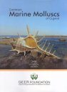 Common Marine Molluscs of Gujarat