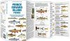 Prince Edward Island Fishes