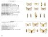 Moths of Europe, Volume 8