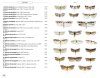 Moths of Europe, Volume 8