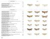 Papillons de Nuit d'Europe, Volume 8: Microlépidoptères 2: Epipyropidae à Pterophoridae [Moths of Europe, Volume 8: Microlepidoptera 2: Epipyropidae to Pterophoridae]