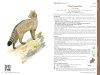 Faune Forestière Française, Tome 1: Mammifères, Oiseaux, Reptiles, Amphibiens [French Forest Fauna, Volume 1: Mammals, Birds, Reptiles, Amphibians]
