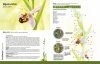 Orchideeën in Nederland: Ecologie, Determinatie & Beheer [Orchids in the Netherlands: Ecology, Identification & Management]