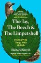 The Jay, The Beech and the Limpetshell
