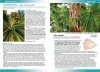 Flowering Plants & Ferns of Ascension Island