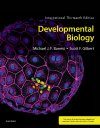 Developmental Biology (International Edition)