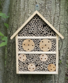 Large Insect House