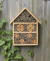 Large Insect House