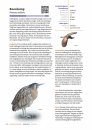 Handboek Vogels van Nederland [Handbook of Birds of the Netherlands]