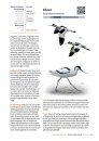 Handboek Vogels van Nederland [Handbook of Birds of the Netherlands]