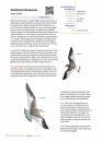 Handboek Vogels van Nederland [Handbook of Birds of the Netherlands]