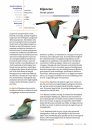 Handboek Vogels van Nederland [Handbook of Birds of the Netherlands]