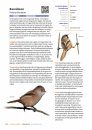 Handboek Vogels van Nederland [Handbook of Birds of the Netherlands]