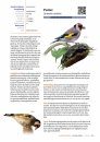 Handboek Vogels van Nederland [Handbook of Birds of the Netherlands]