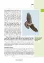 Crossbill Guide: Southern Portugal: From Lisbon to the Algarve