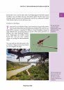 Crossbill Guide: Southern Portugal: From Lisbon to the Algarve