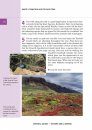 Crossbill Guide: Canary Islands, Volume 2: Tenerife and La Gomera, Spain