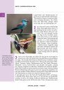 Crossbill Guide: Tuscany, Italy