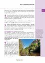 Crossbill Guide: Tuscany, Italy