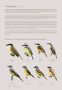 Oiseaux de Guyane: Manuel d'identification [Birds of French Guiana: Identification Handbook]