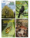 An Identification Guide to Trees, Birds, Insects, and Mushrooms