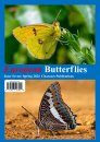 European Butterflies, Issue 7: Spring 2024