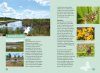 Op Zoek naar Vlinders en Libellen: Mooie Vlinder- en Libellengebieden in Nederland [Searching for Butterflies and Dragonflies: Beautiful Butterfly and Dragonfly Areas in the Netherlands]