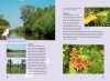 Op Zoek naar Vlinders en Libellen: Mooie Vlinder- en Libellengebieden in Nederland [Searching for Butterflies and Dragonflies: Beautiful Butterfly and Dragonfly Areas in the Netherlands]