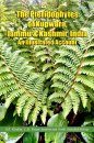 The Pteridophytes of Kupwara, Jammu and Kashmir, India