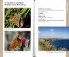 An Introduction to the Butterflies of Cyprus