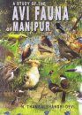 A Study of the Avifauna of Manipur