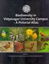 Biodiversity in Vidyasagar University Campus